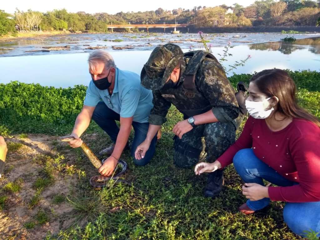 Policia Militar Ambiental realiza soltura de sucuri em Pirassununga 1 vetsucuri12 08 20 1