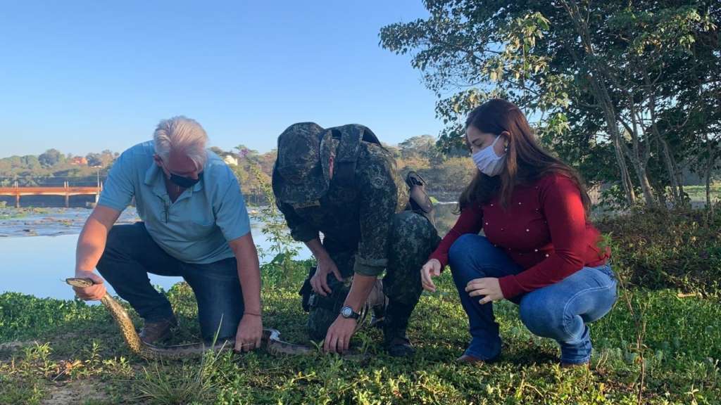 Policia Militar Ambiental realiza soltura de sucuri em Pirassununga 2 vetsucuri12 08 20 3