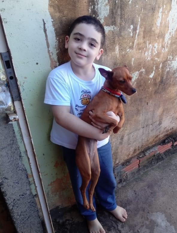 Criança procura pelo animalzinho “Pinscher” de seu coração 2 Ca 1