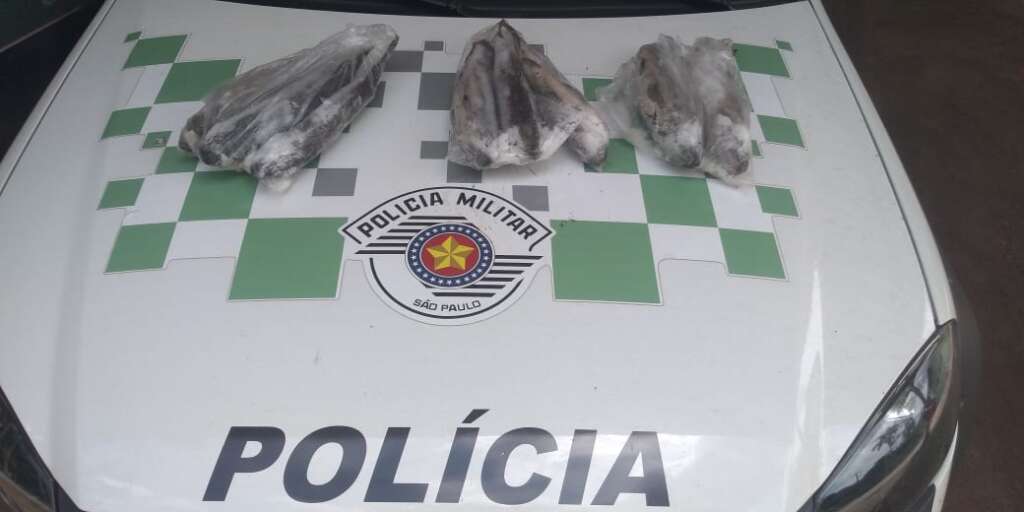 PM Ambiental de Pirassununga doou peixes para Asilo 4 Pescados apreendidos