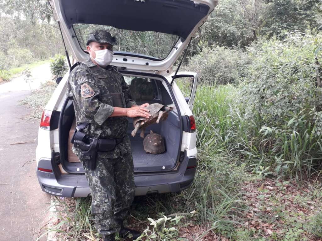 PM Ambiental de Pirassununga extremamente preocupada com o Meio Ambiente