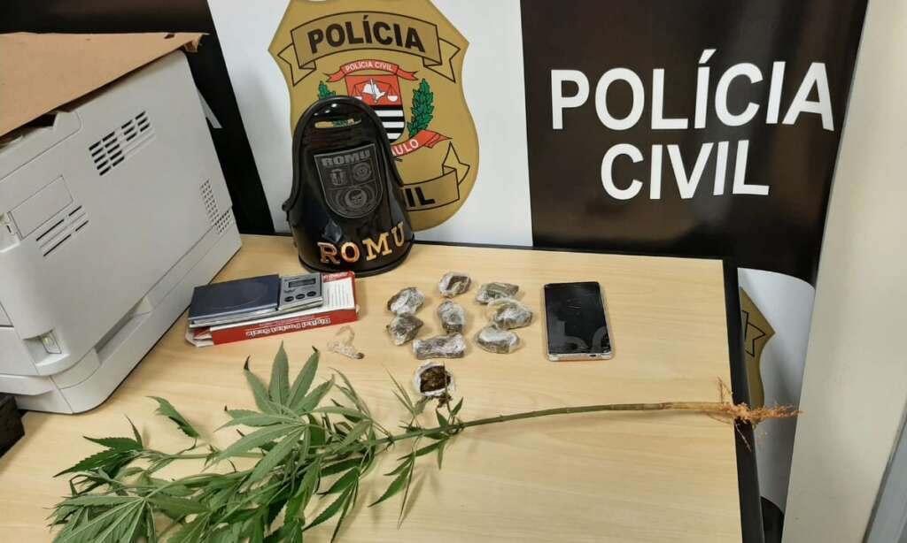 Ação coordenada pela delegada de polícia Tatiane apreende porções e pé de maconha