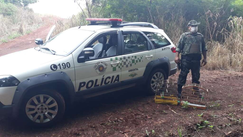 Em quatro dias PM Ambiental da 7ª Cia aplicou mais de 50 mil em multa 4 PM AMBIENTAL 3