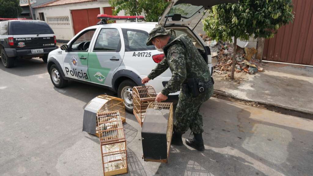 “Operação Alma Despida” foi realizada em ação conjunta na região de Mogi Guaçu