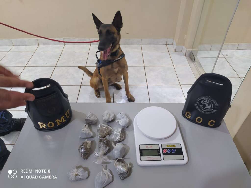 Denúncia leva GCM de Pirassununga encontrar drogas na zona leste