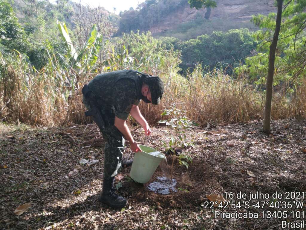 PM Ambiental. Entrevista em Rádio e ações no plantio de árvores 3 AMBIENTAL 2