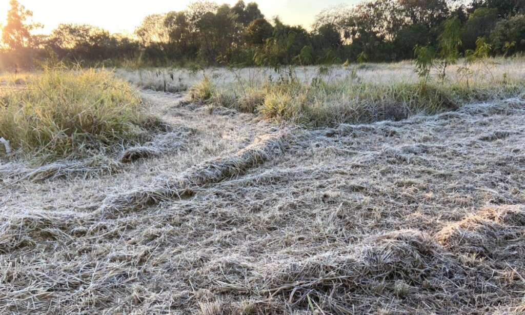 Brasil pode ter frio mais intenso do século, com neve e sensação abaixo de zero