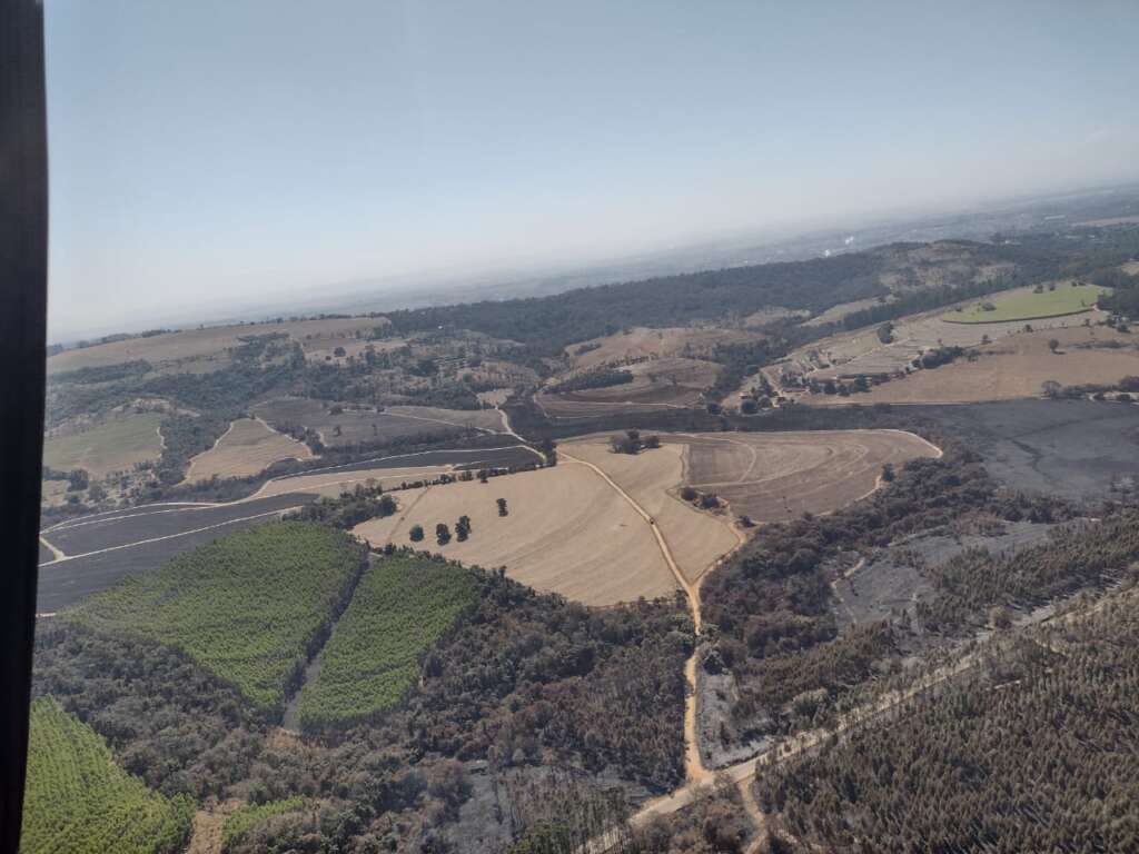 Queimadas devastaram áreas de Cerrado, Vegetação e plantio de Cana-de-Açúcar