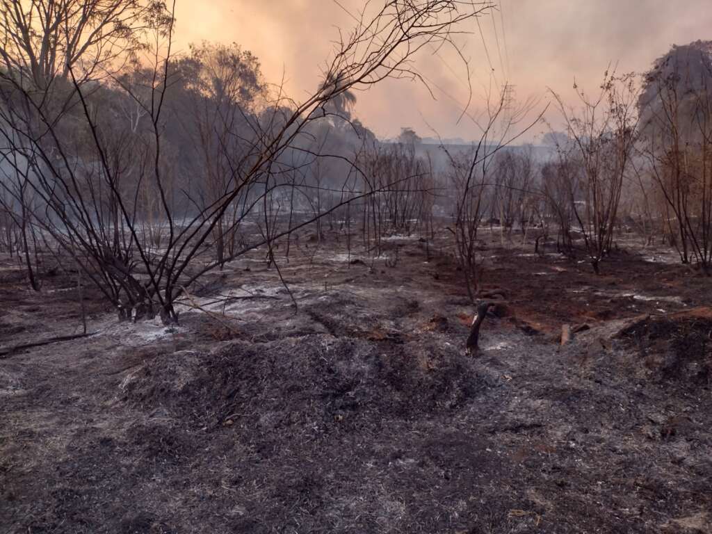 incendio usp pirassununga 1