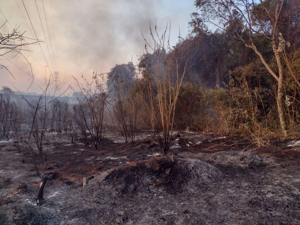 incendio usp pirassununga 11