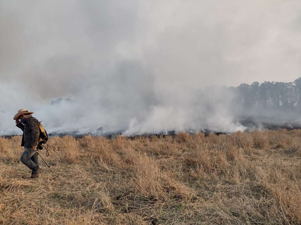 incendio usp pirassununga 13