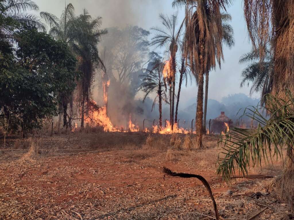 incendio usp pirassununga 6