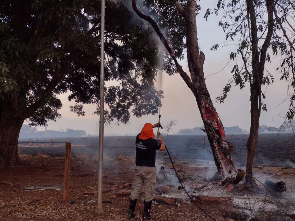 incendio usp pirassununga 8