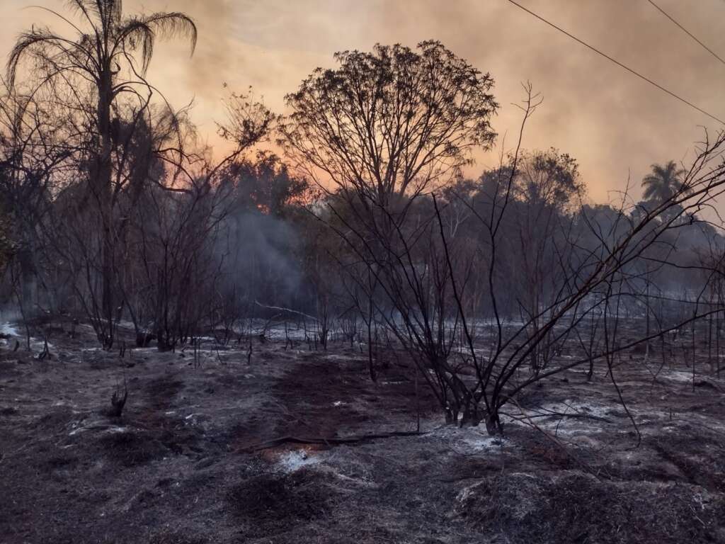 incendio usp pirassununga 9