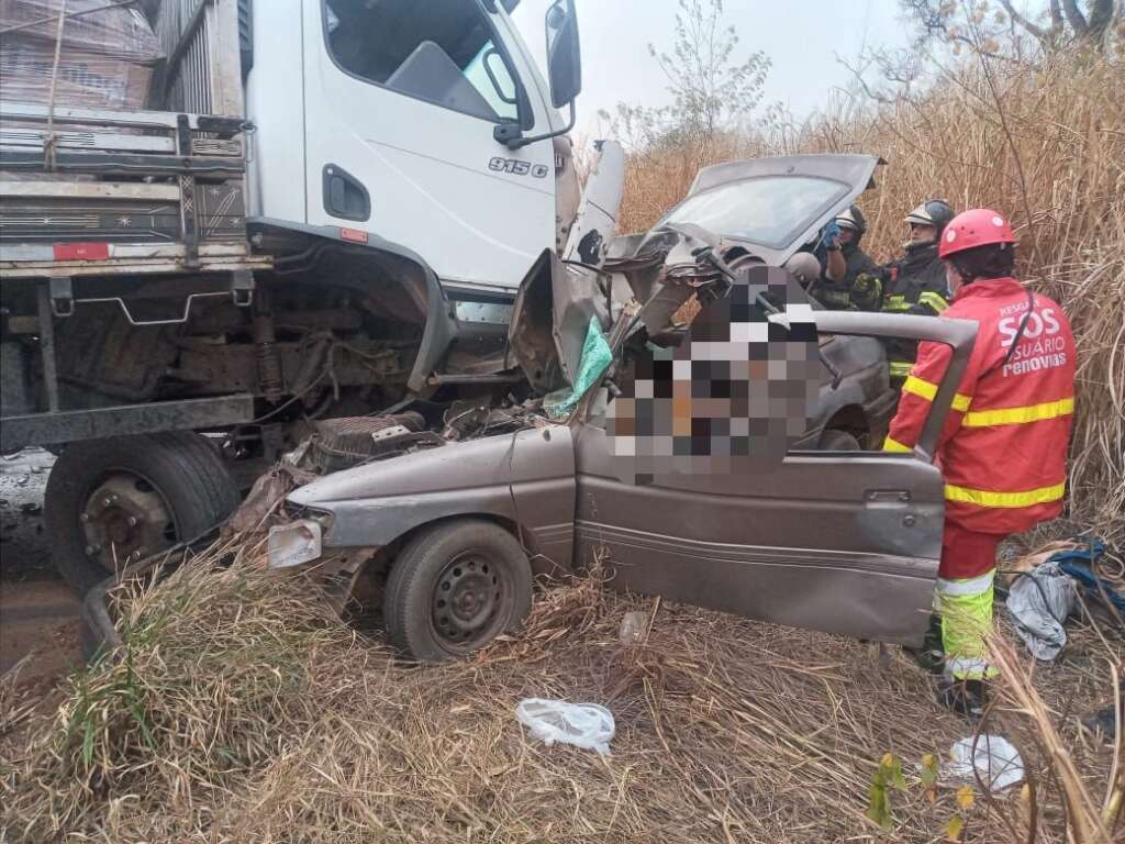 Motorista de caminhão teria desviado de animais na pista quando ocorreu o acidente