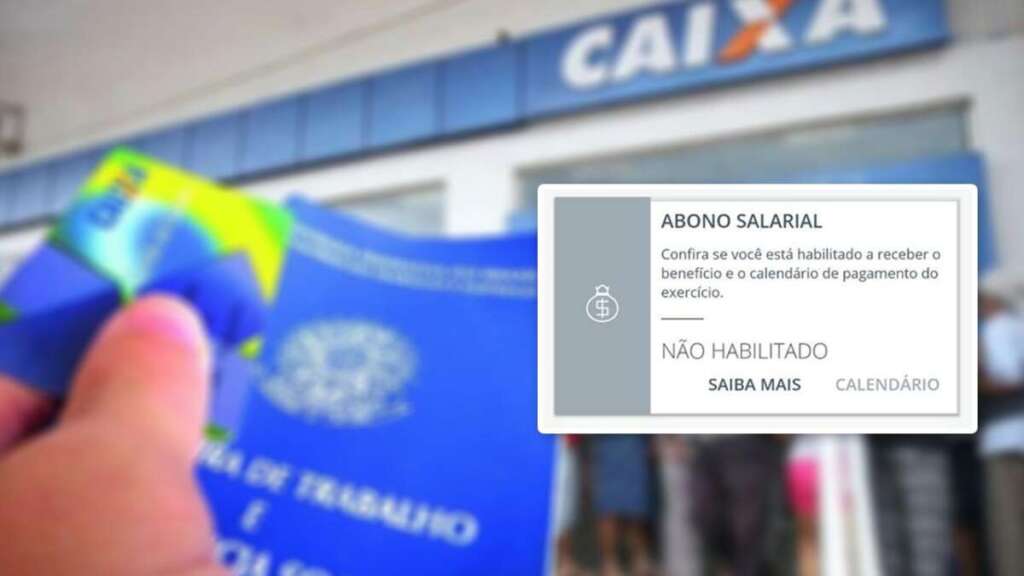 PIS Não Habilitado na Carteira de Trabalho Digital