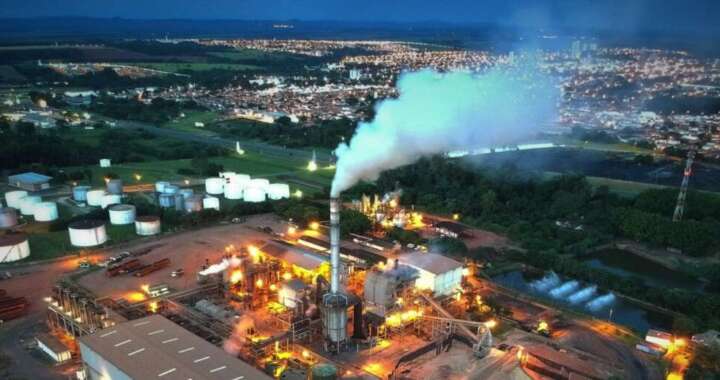 baldin bioenergia pirassununga