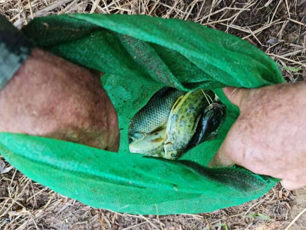 Polícia Militar Ambiental da 2ª Cia, fecha o mês com excelentes resultados em prol do meio ambiente 8 A 12