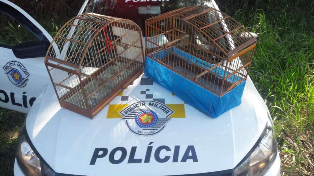Polícia Militar Ambiental da 2ª Cia, fecha o mês com excelentes resultados em prol do meio ambiente 9 A 13