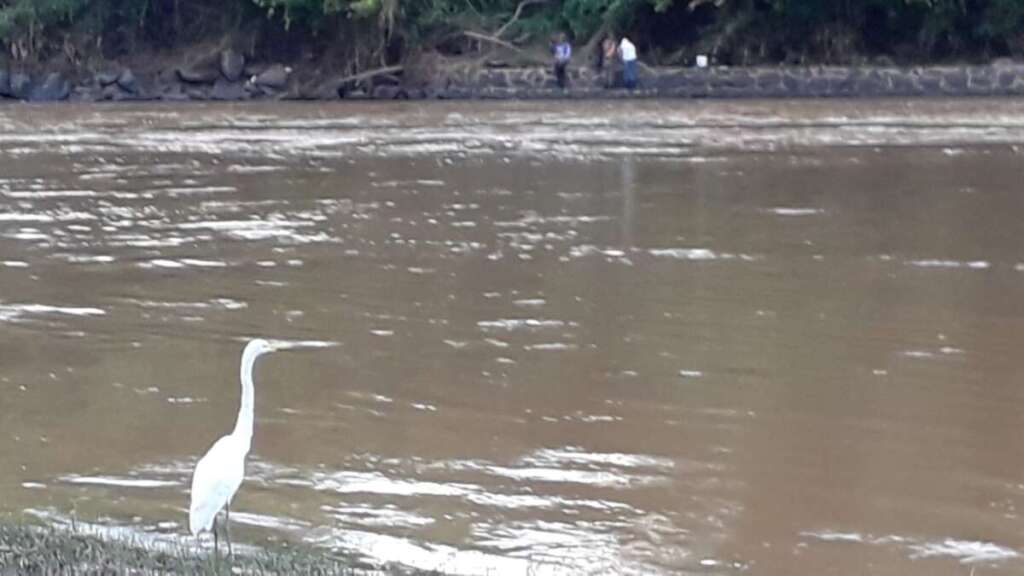 Comerciantes apostam no fim da Piracema para o mercado em Cachoeira de Emas 2 Cachoeira 4