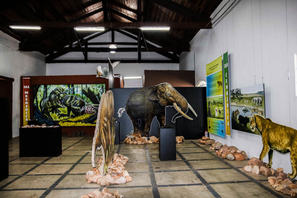 A Historia Natural de Leme e tema de exposicao no museu historico 1