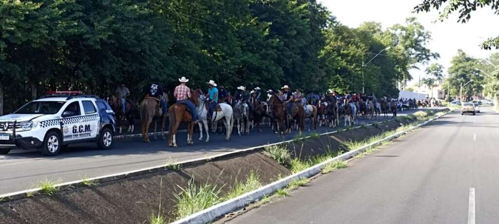 Domingo de Ramos 1