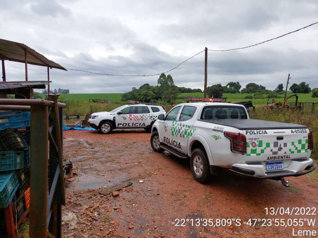 Polícia Militar deu grande passo em possível matadouro clandestino