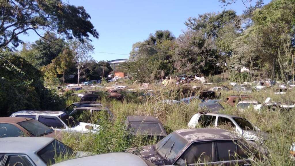 Ambiental APP quinta 30