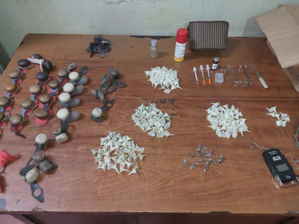 PM Ambiental aplica mais de R$ 1 milhão e 600 mil de multa por brigas de galo em apoio à Polícia Civil Judiciária 4 Galo Briga
