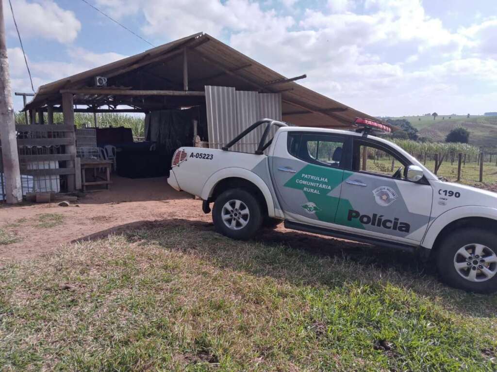 PM Ambiental aplica mais de R$ 1 milhão e 600 mil de multa por brigas de galo em apoio à Polícia Civil Judiciária 1 Galo Briga 4