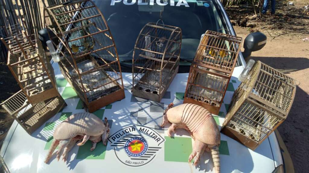 Ações dos Pelotões da 2ª Cia. PMAmb exemplo de policiamento ambiental para o Brasil 5 Tatu Amb Charqueada 1