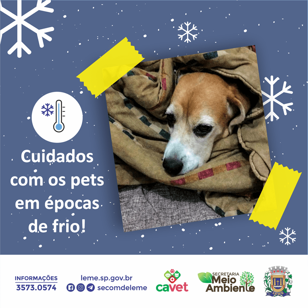 <strong>Cuidados com os pets em épocas de frio</strong> 1 cuidados com pets epoca frio 1