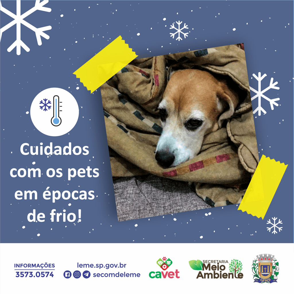 cuidados com pets epoca frio 1