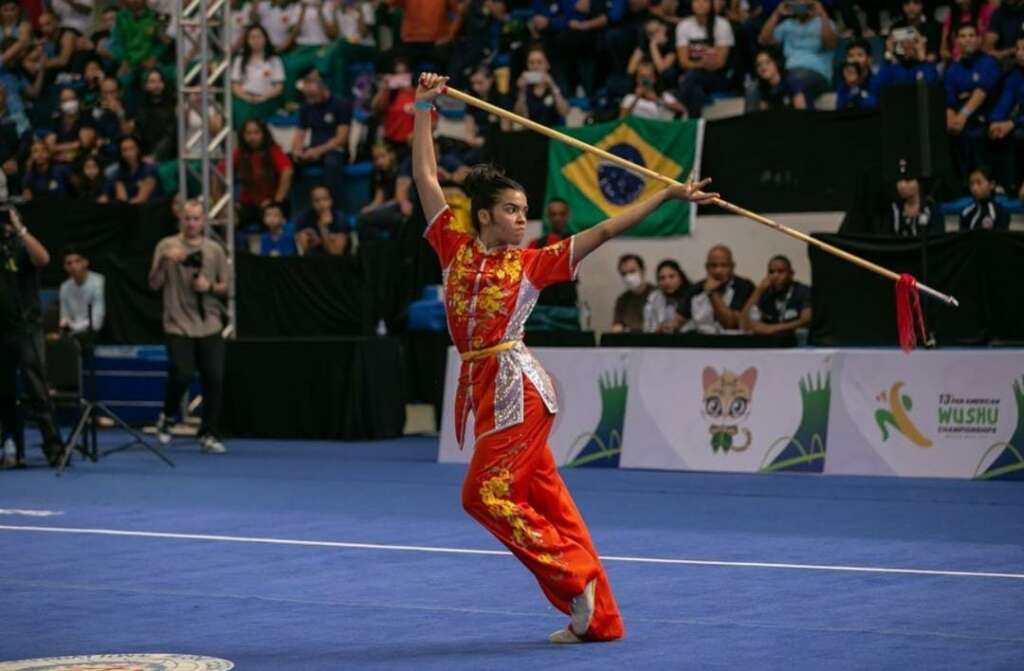 Panamericano Kung Fu3