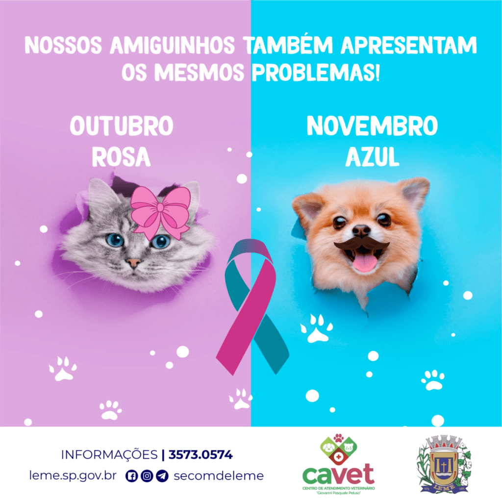 19102022 Outubro Rosa e Novembro Azul Animal