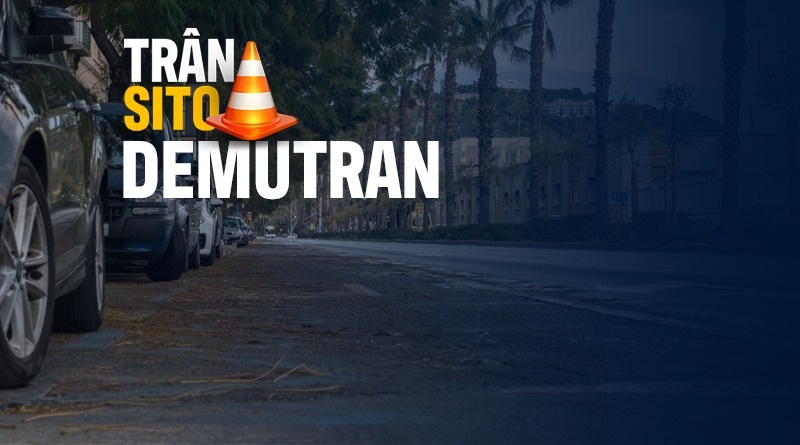 Demutran 4