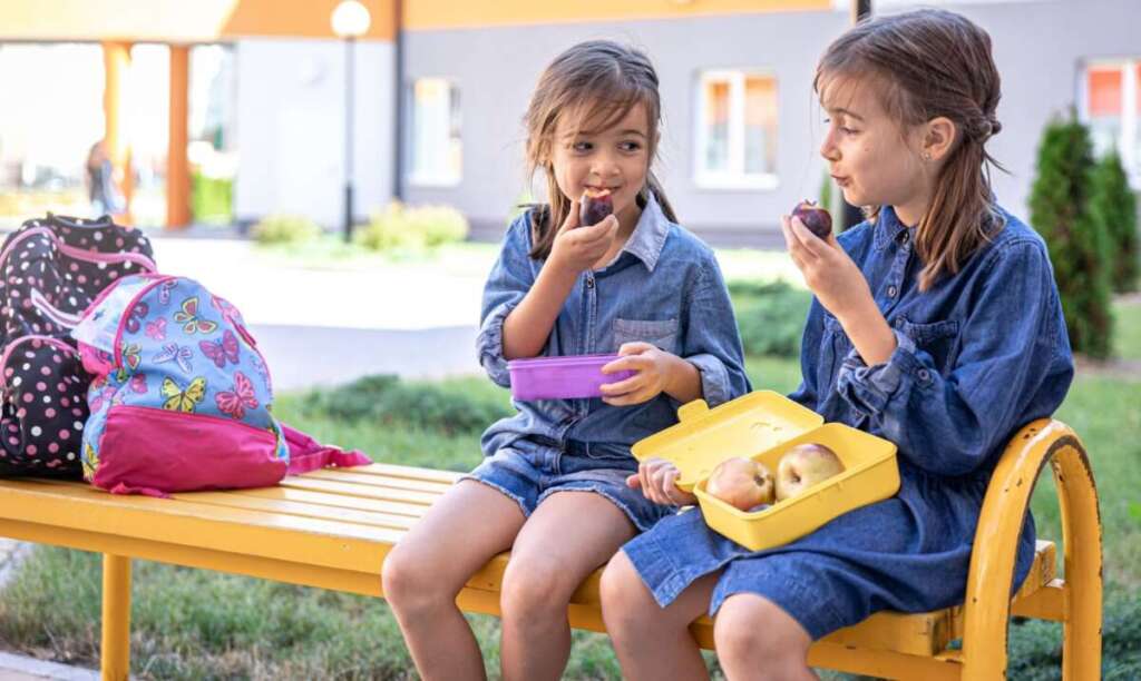 Dicas para planejar um lanche escolar