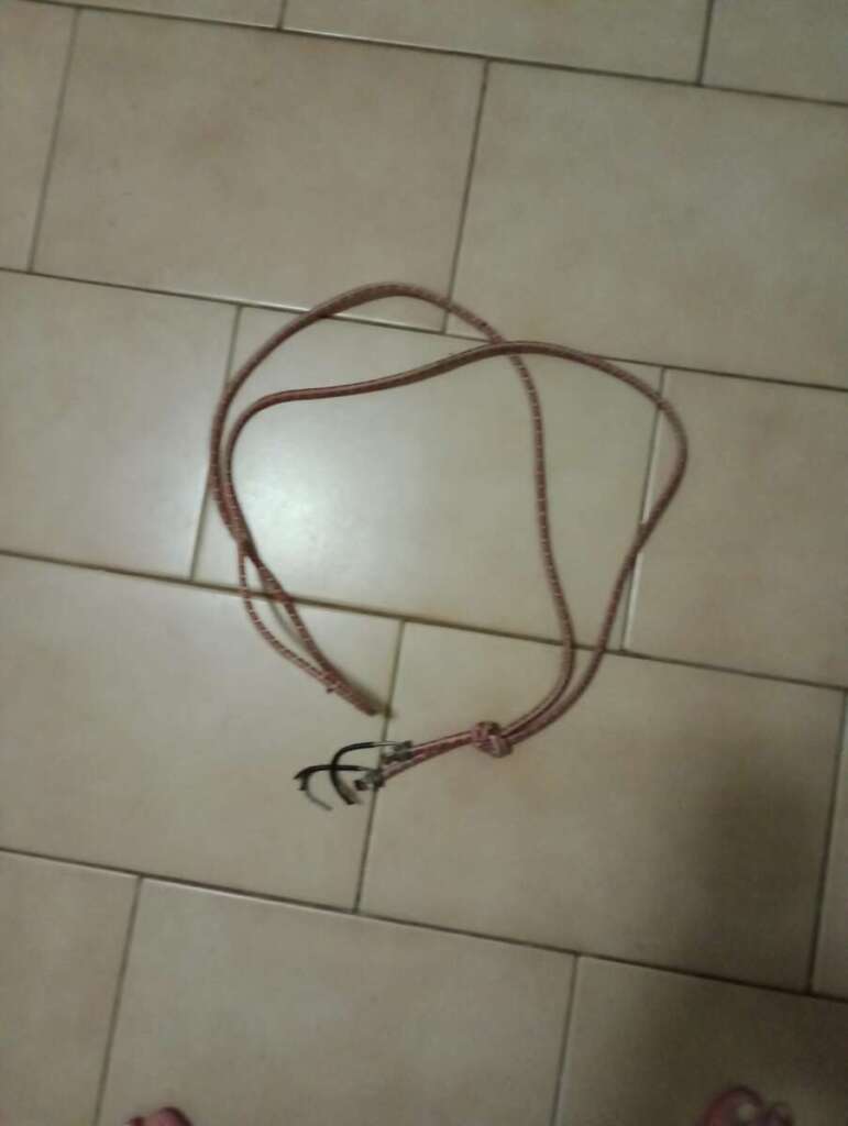 Vítima de agressão por parte do Desmascarando Pirassununga libera imagens da violência 2 Janaina 1