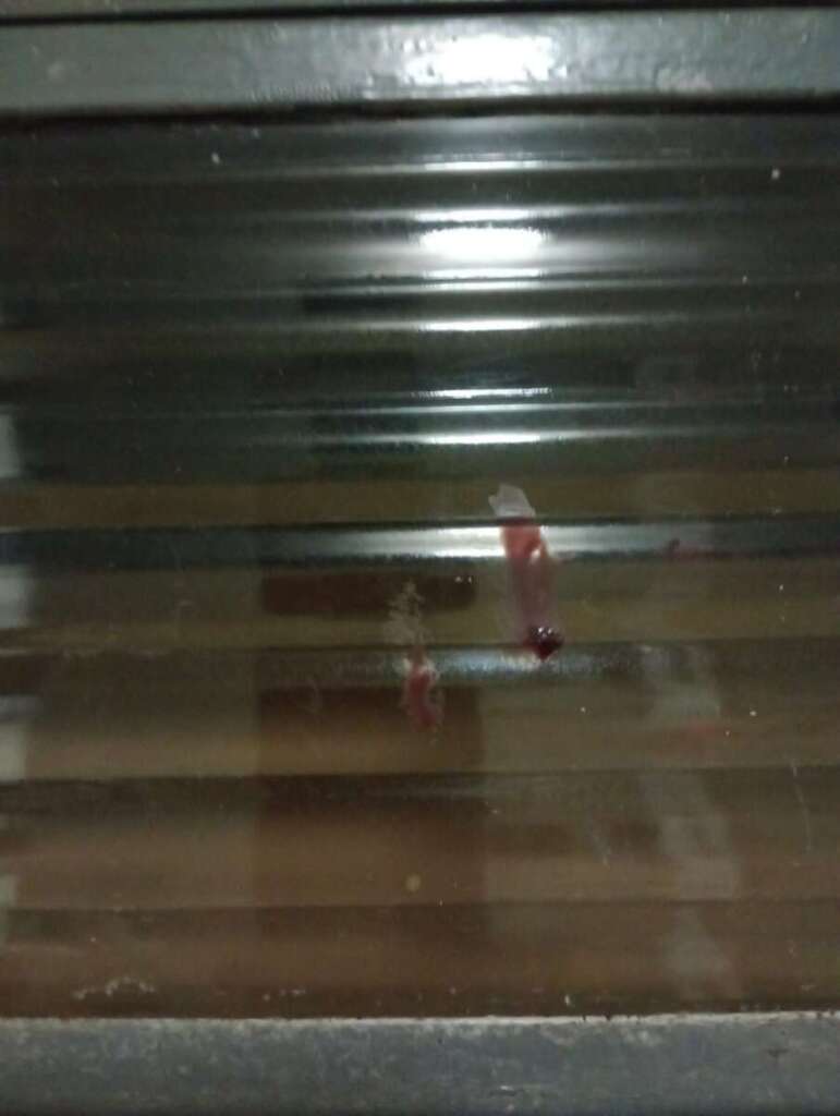Vítima de agressão por parte do Desmascarando Pirassununga libera imagens da violência 6 Janina 7