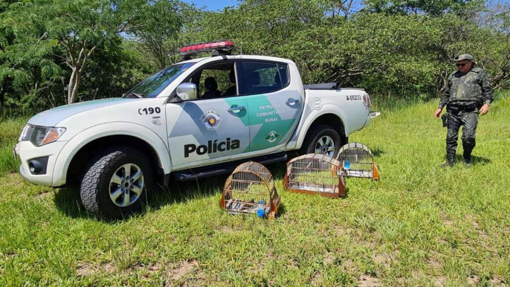 Polícia Militar Ambiental incansavelmente na defesa da fauna e flora