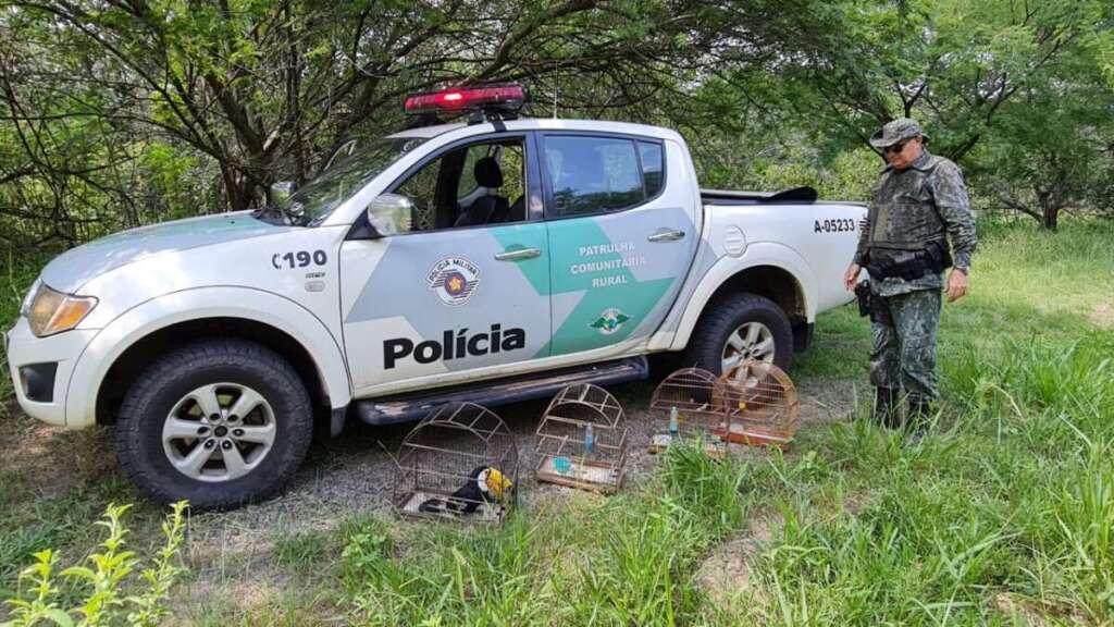 PM Ambiental. Multas, solturas de pássaros e apreensão de caminhões e máquina 3 Ave C 3