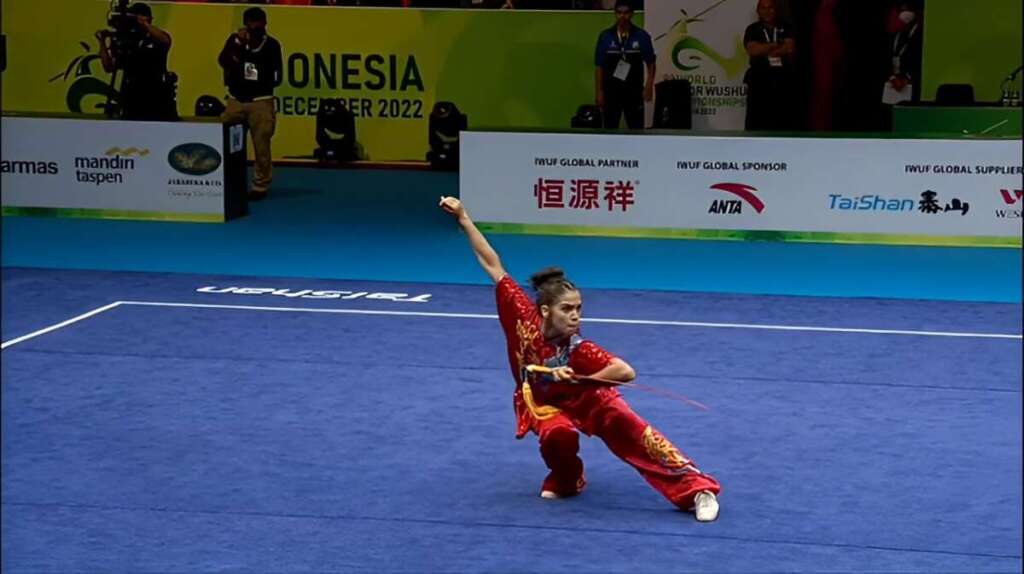 Mundial Kung Fu 2
