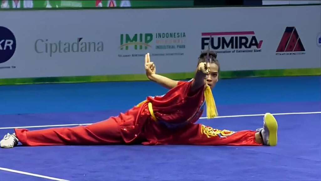 Mundial Kung Fu 4