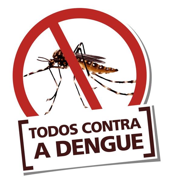Mosquito da dengue Copy