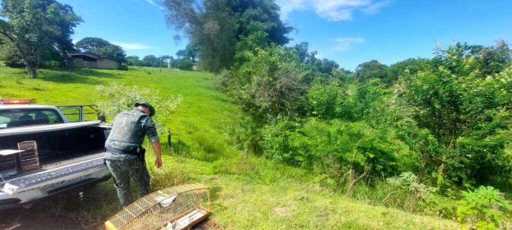 Trabalho incessante da Polícia Militar Ambiental na proteção ao meio ambiente 2 WhatsApp Image 2023 03 03 at 21.16.00 1