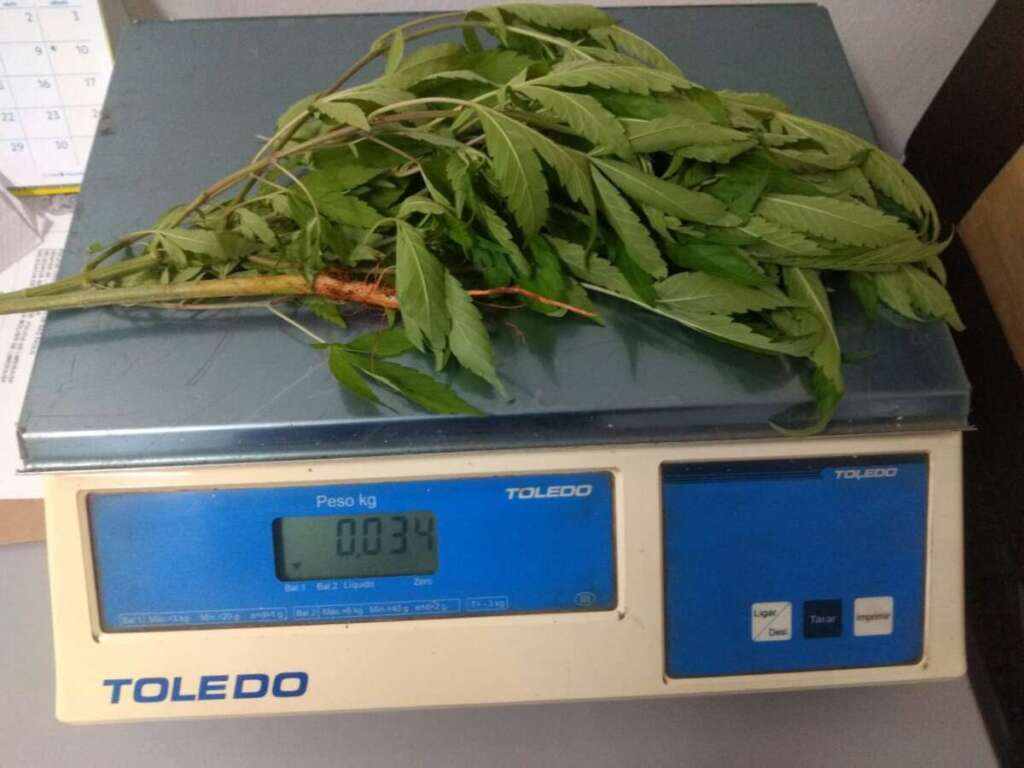 Barbeiro é preso no Santa Clara com drogas, pé de maconha, balança de precisão e dinheiro 3 WhatsApp Image 2023 06 22 at 11.52.09 1
