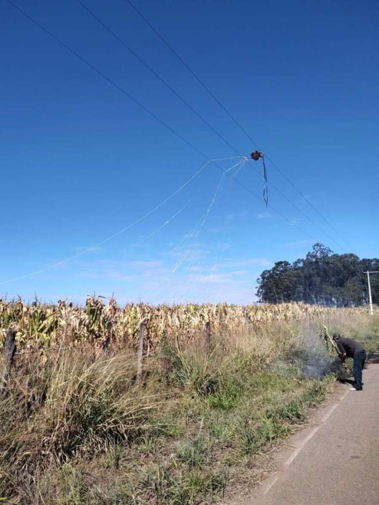 Balão cai em plantação de milho e sobre rede elétrica, fogo foi apagado com apoio do caminhão pipa da Baldin Bioenergia 3 WhatsApp Image 2023 07 23 at 15.53.02