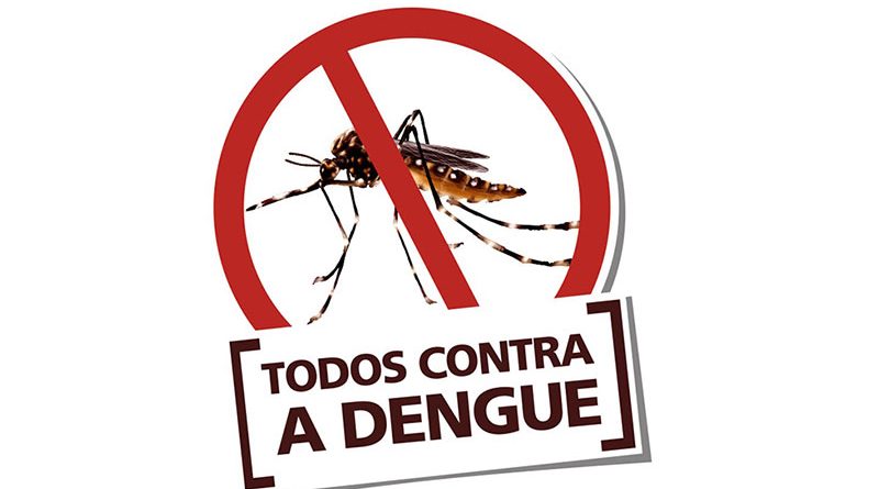 Dengue, Chikungunya e Zika Virus, os números de Pirassununga 1 Mosquito da dengue 1 800x445 1