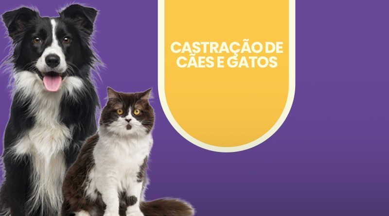 castracao1