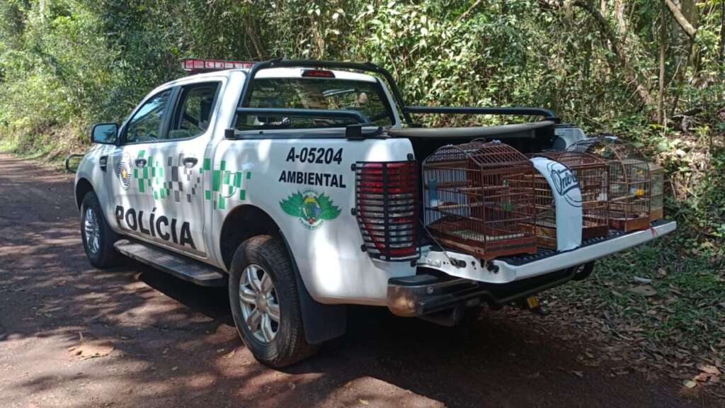 Em três ações nestes primeiros dias de setembro, PM Ambiental aplica R$ 18.800,00 por crimes ambientais 3 764205b5 be1c 4729 8e38 51192aa59d30